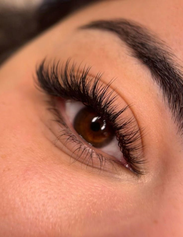 Volume Queen Lashes