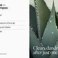 DANDRUFF DETOX SHAMPOO